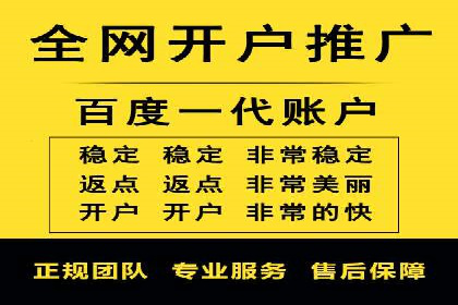 百度推广竞价全解析：某电商平台的营销策略